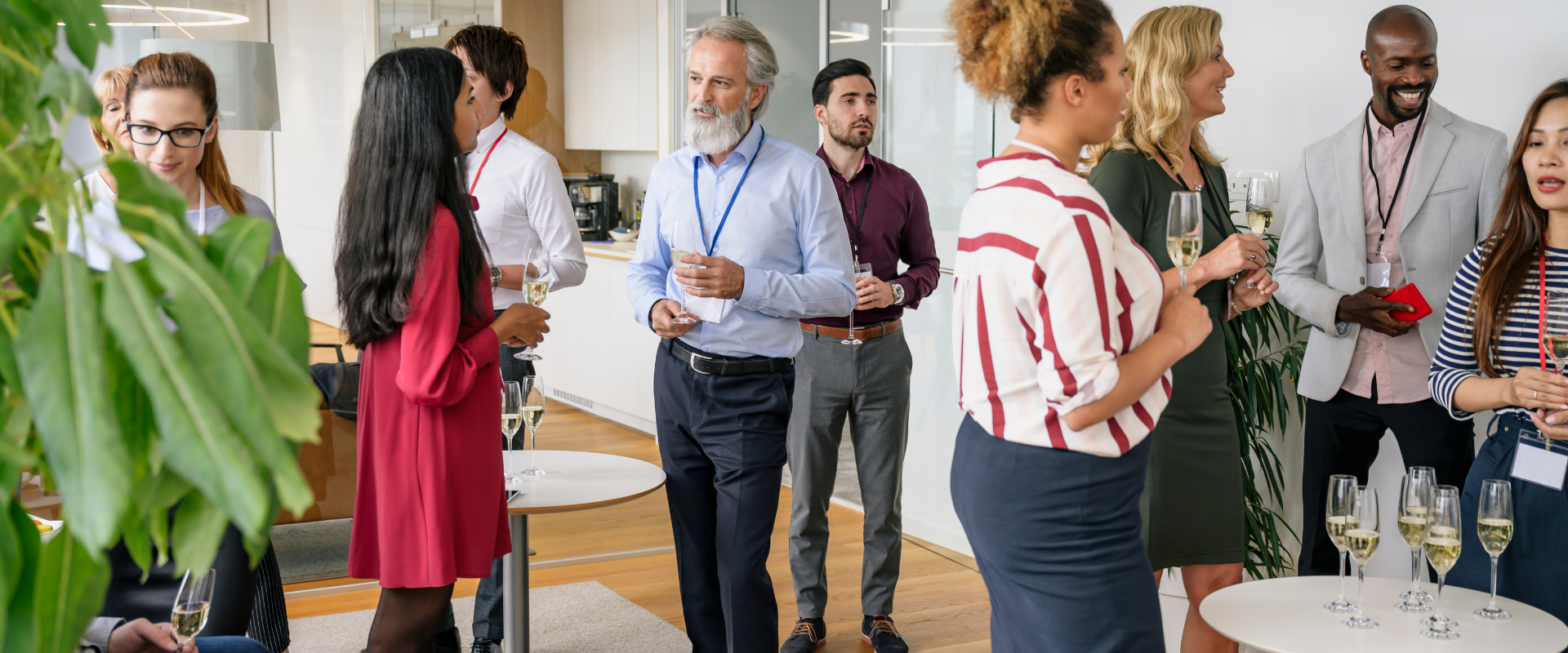 diseño sin título (41)